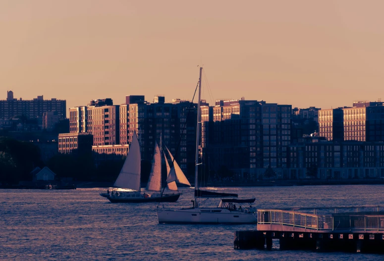 sailboats on water near city skylines during sunset