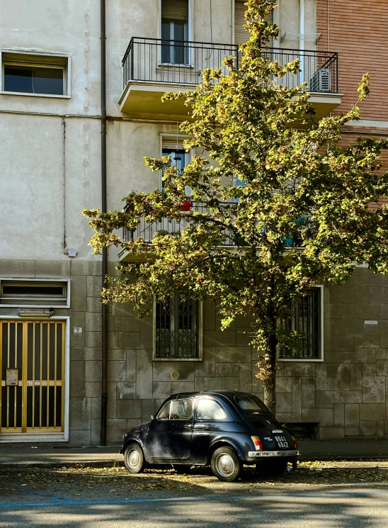 an old fashioned car parked next to a tree