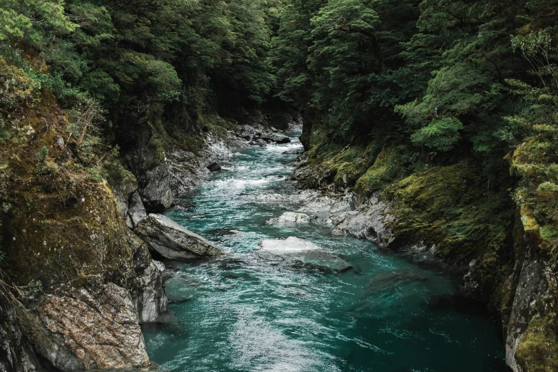 river flowing between two rocky sides in a forest