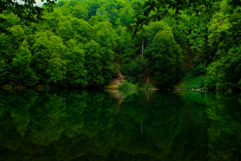 trees are reflected in the water and mountains