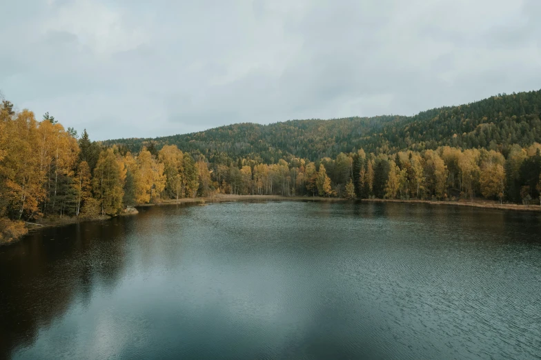 a body of water surrounded by trees