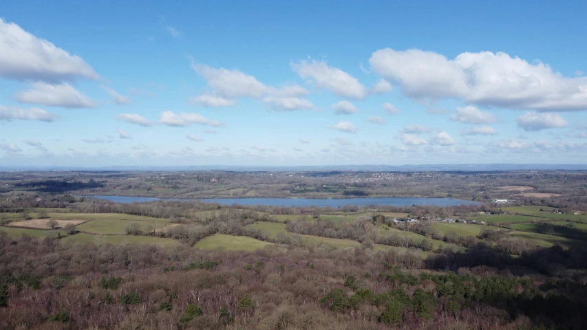 aerial view of trees and water near town