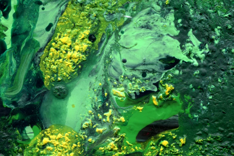 green paint flowing over white and yellow flowers