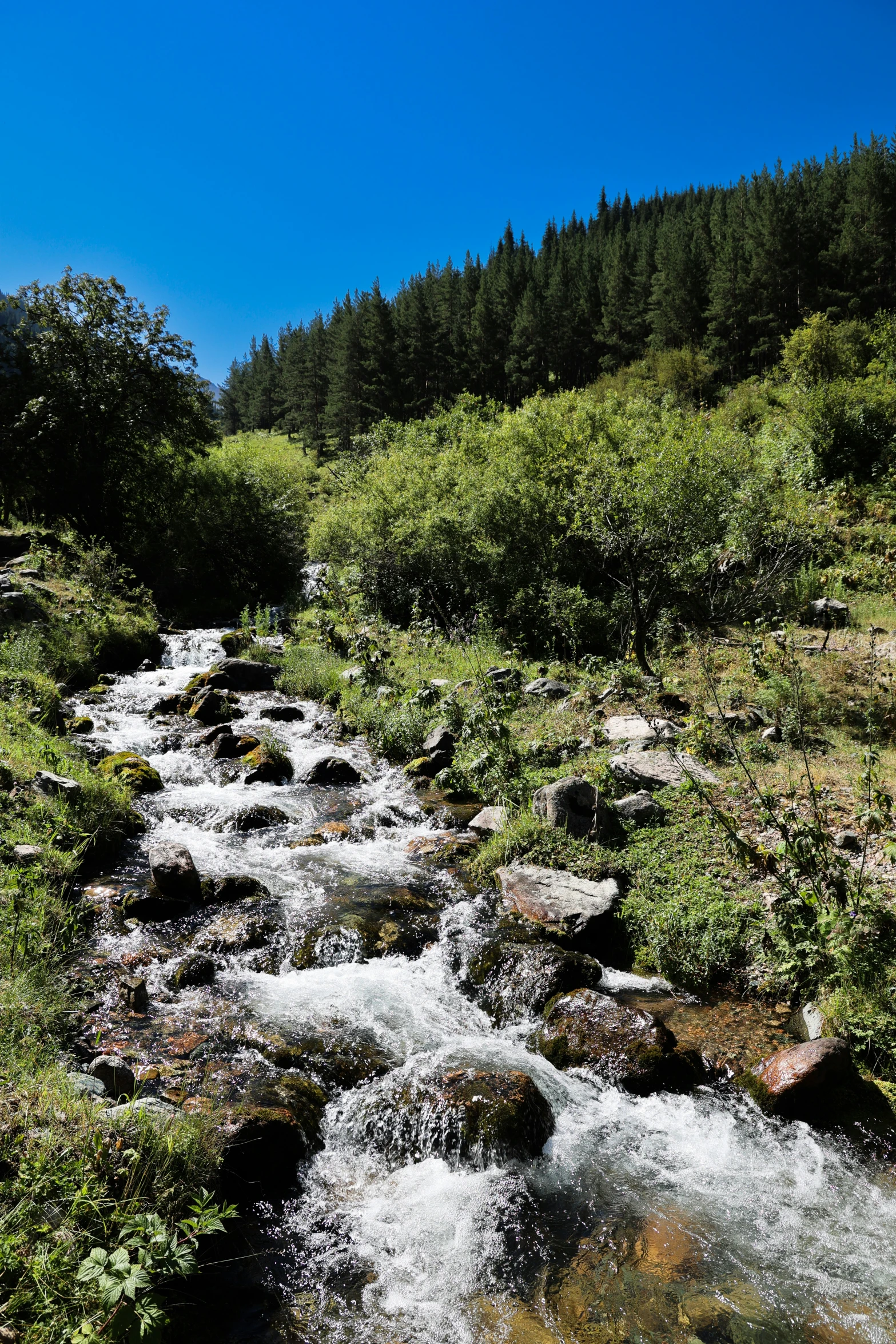 a small stream runs between some green hills