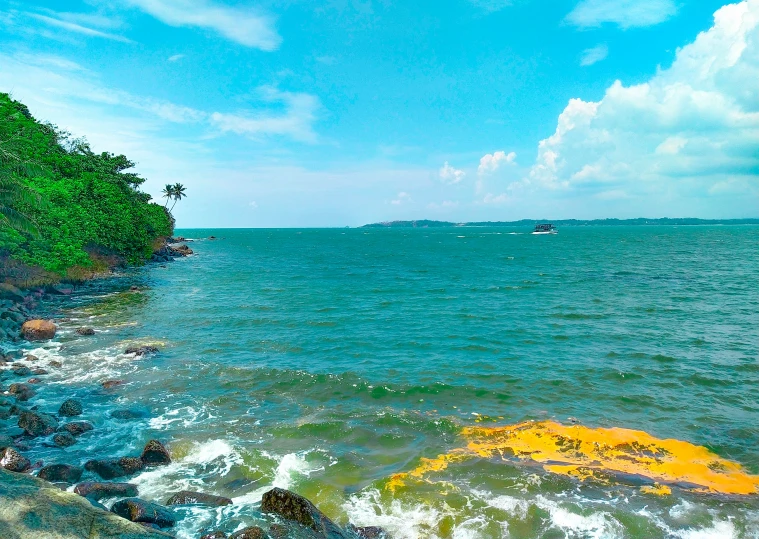 a large body of water with trees on the sides