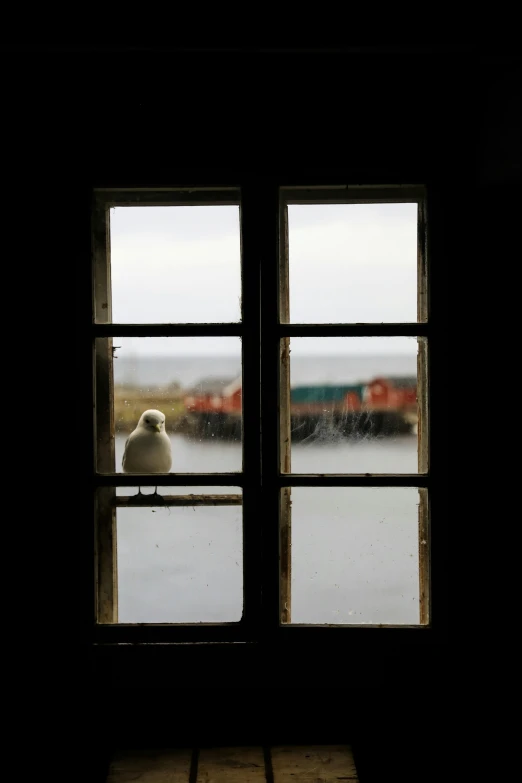 the window of an old building with a couple birds sitting outside