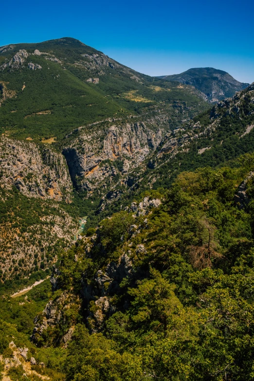 the mountains are covered with trees and vegetation