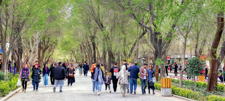 group of people walking around trees and plants in park