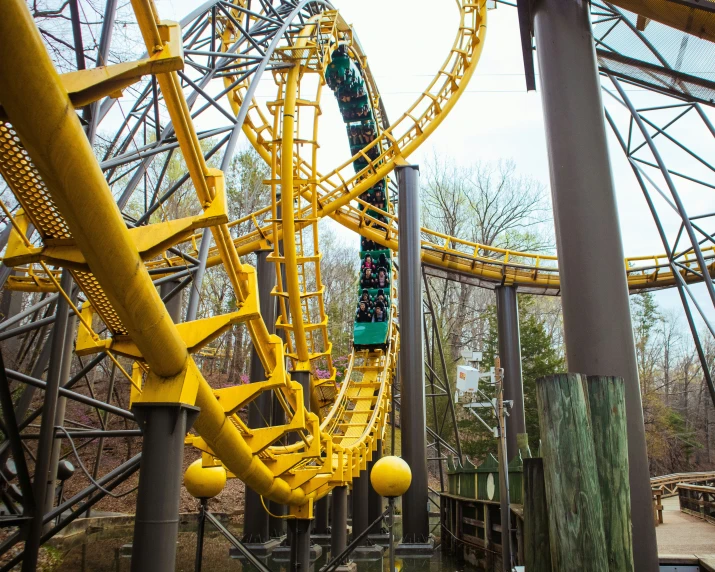 roller coaster with person on top over a pond