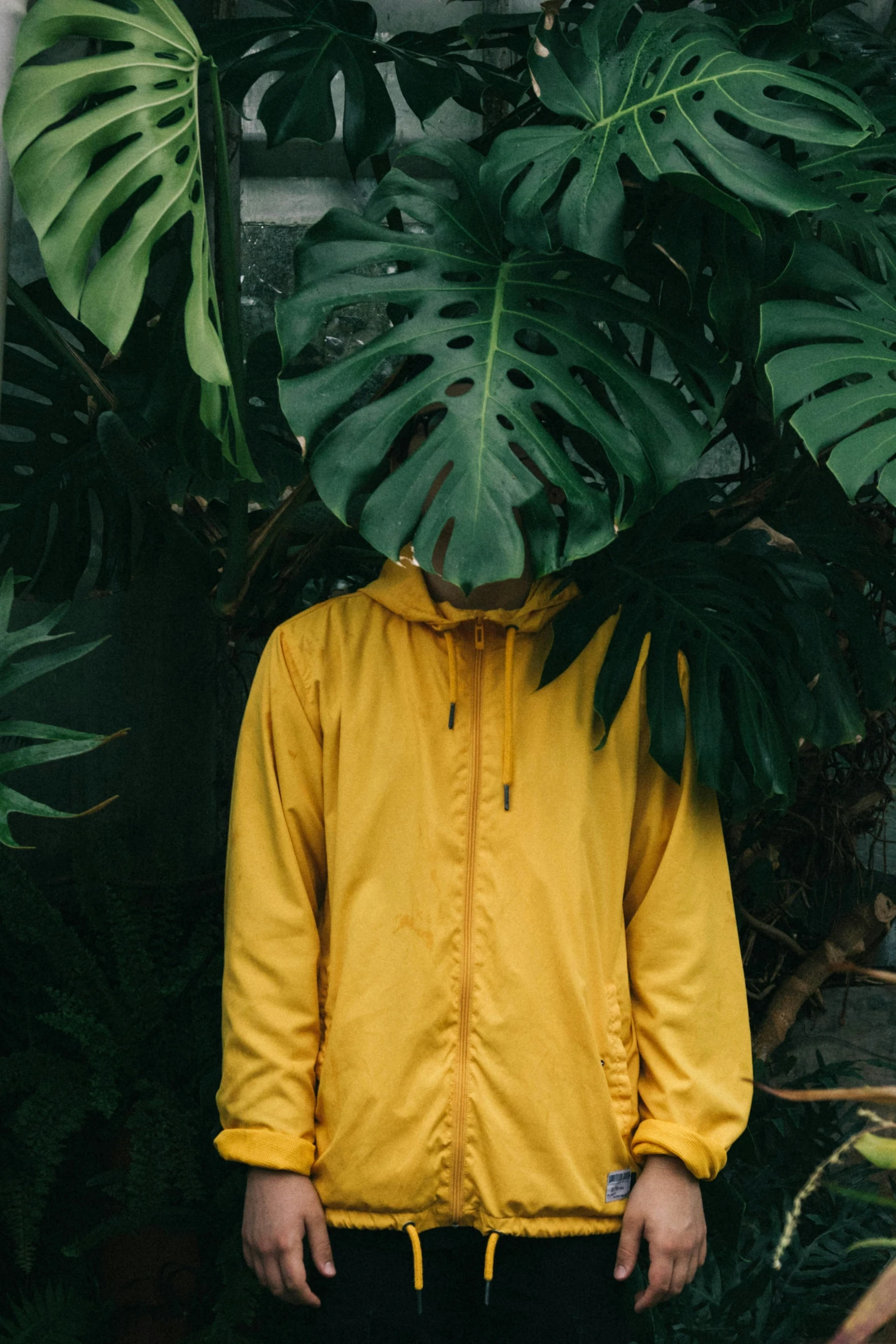 a man standing in front of plants holding his face to the ground