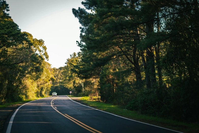 a car traveling down the road in a forrest