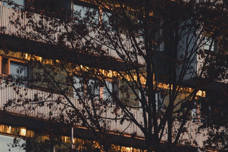 an office building with a tree and windows