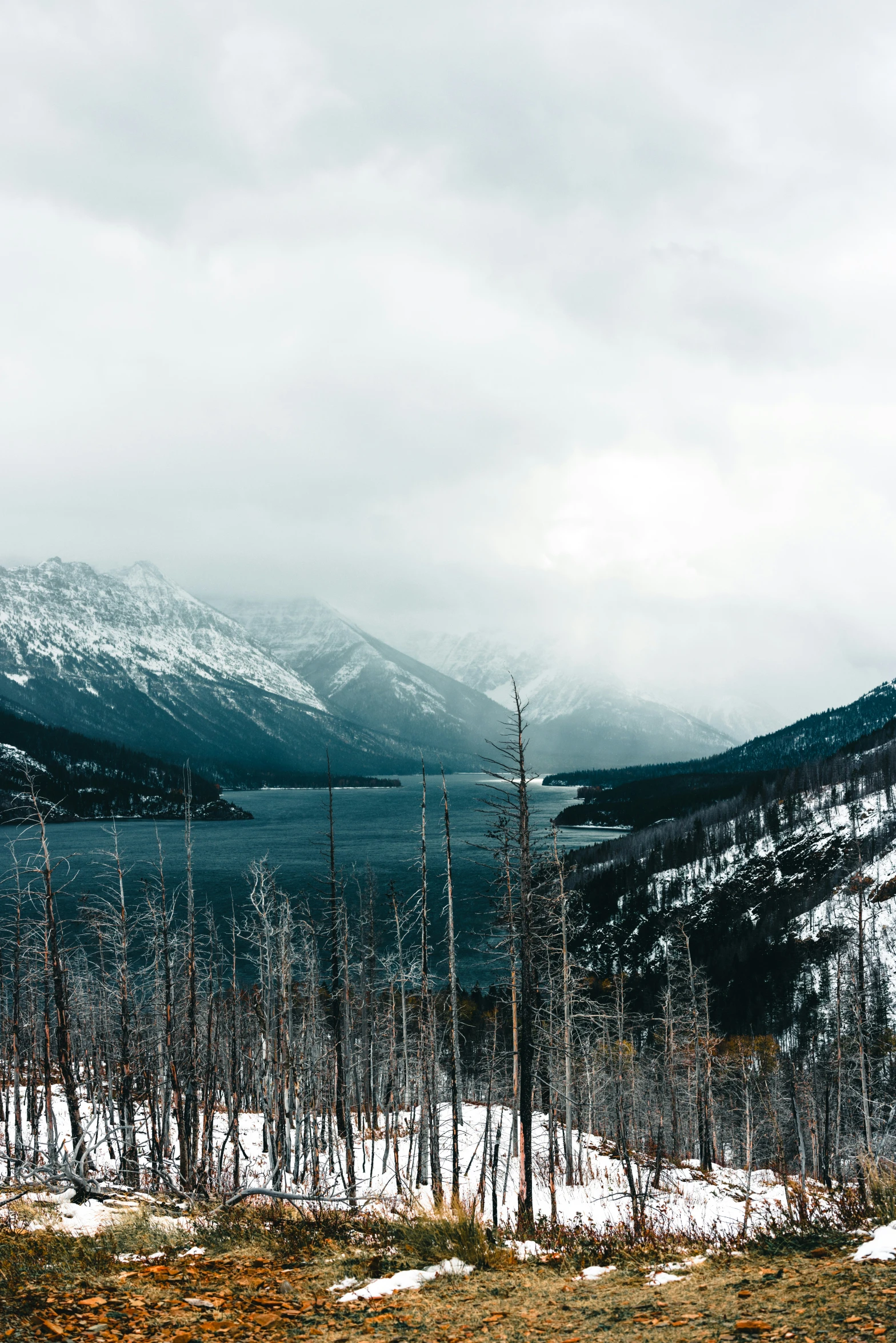 a man holding ski poles and walking across a snow covered field