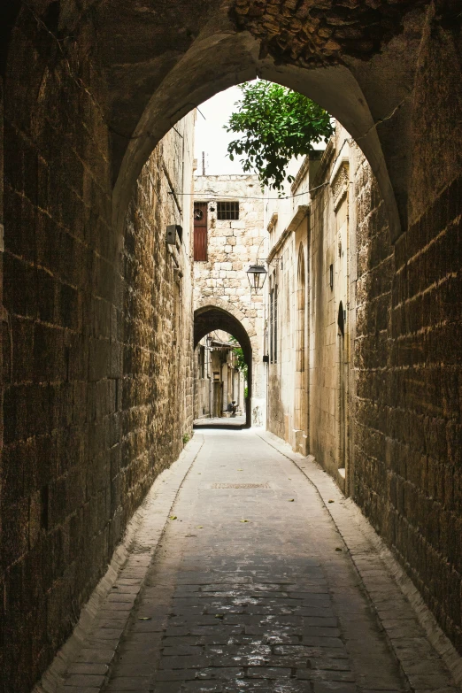 tunnel with trees in city near brick buildings