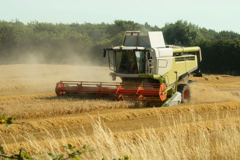 combine of grain being harvested on farm land