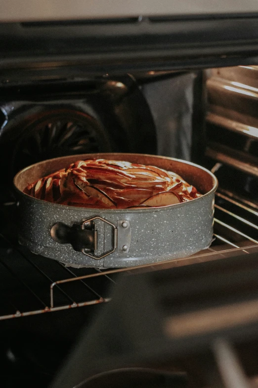 a pan in the oven cooking food for dinner