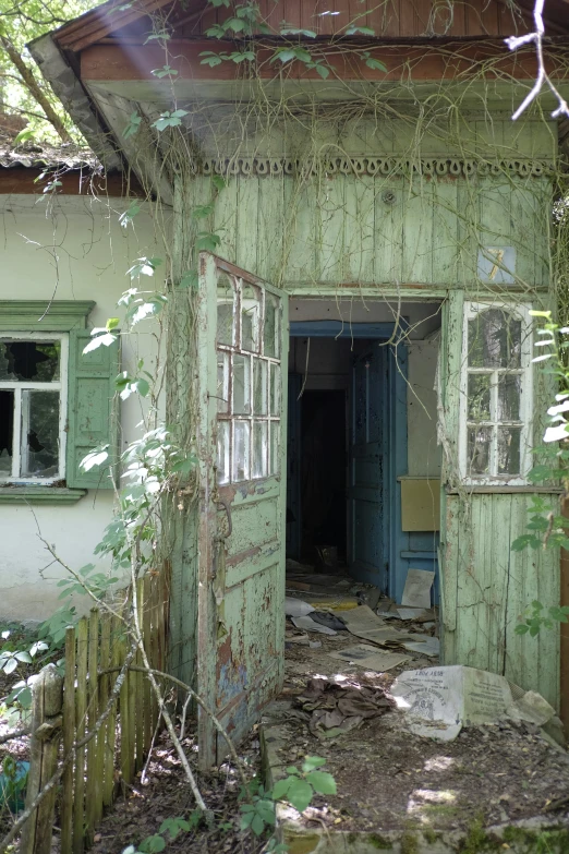 the abandoned building in the woods has vines growing out the windows