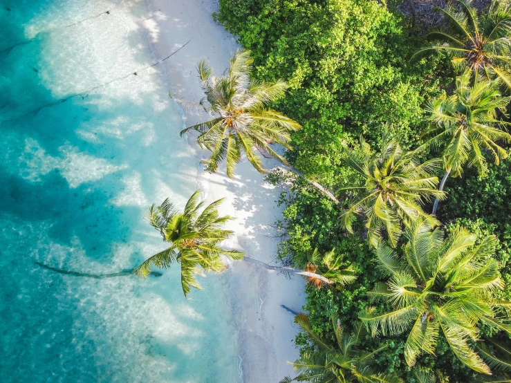 view of an aerial s of a beach and water