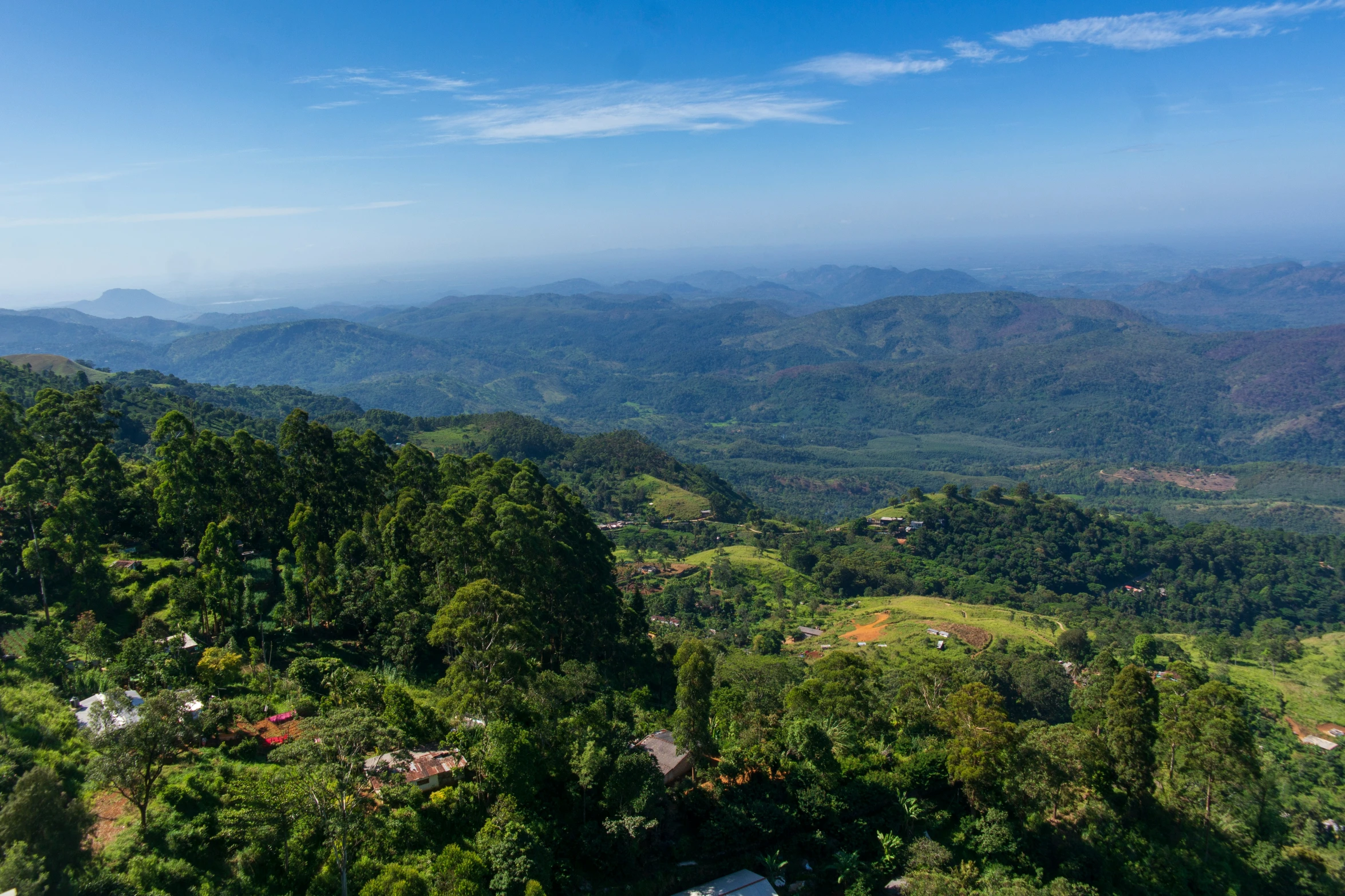 aerial view of the rainforest and surrounding mountains