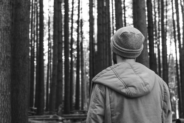 the back of a person in the middle of a forest