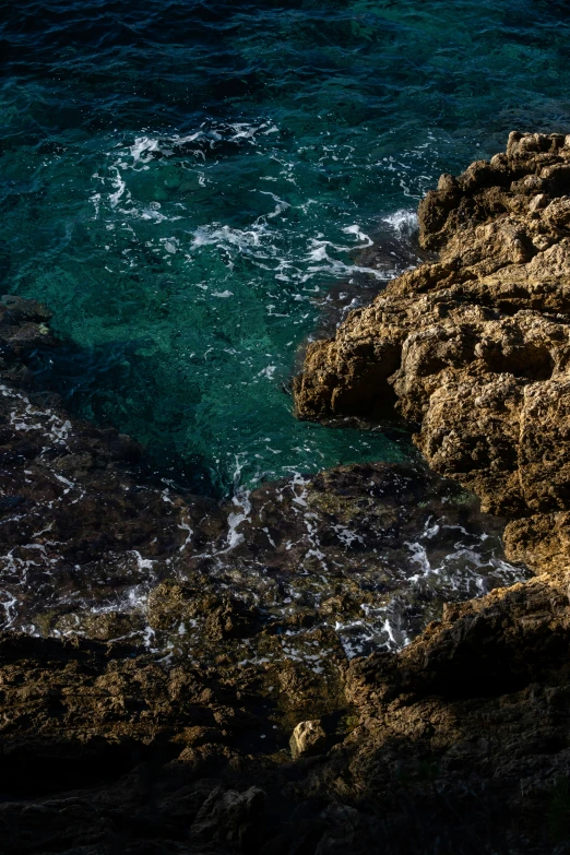 an animal sitting on some rocks next to the ocean