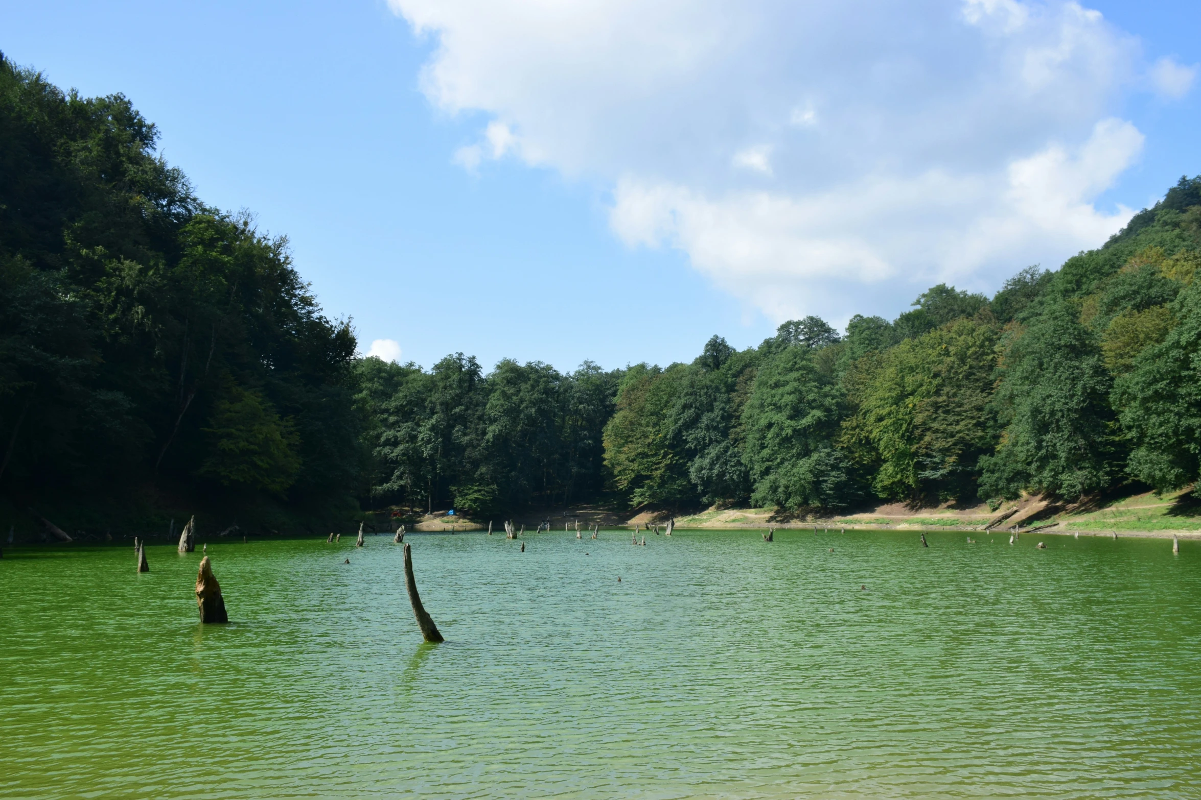 two boats on the green river surrounded by forested hills