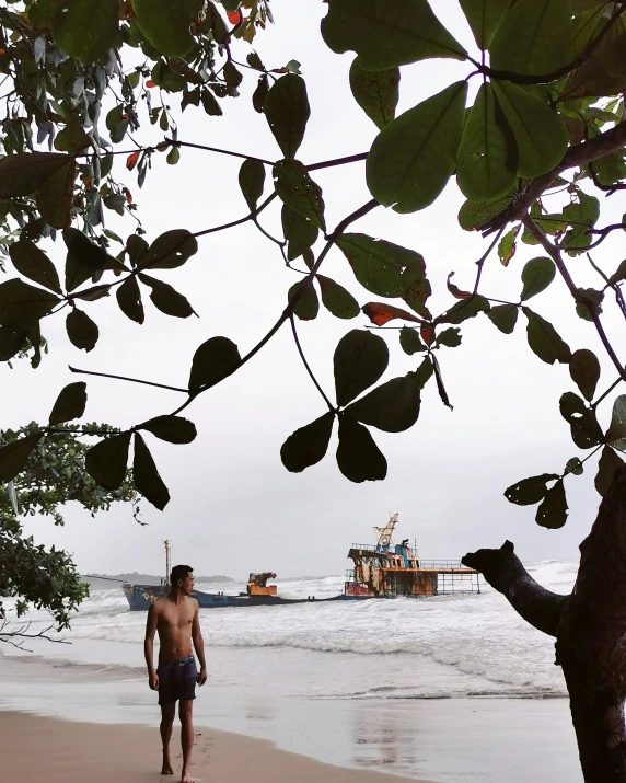 a man walking down a beach under a tree