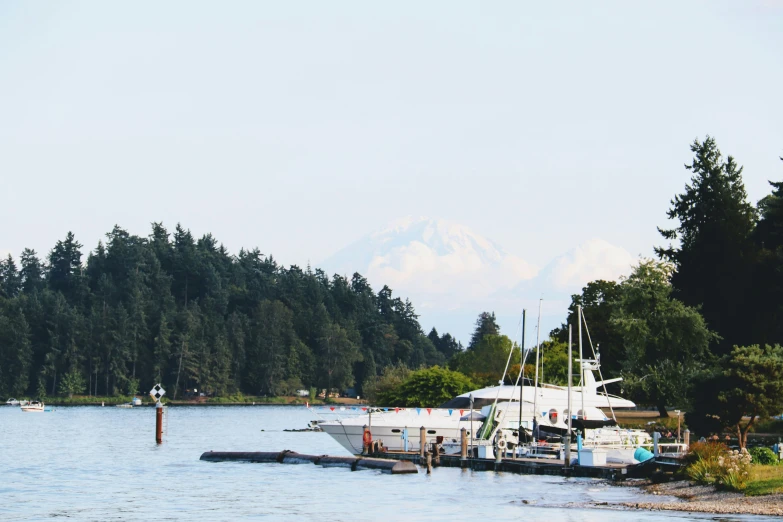 boats in the water next to a wooden dock