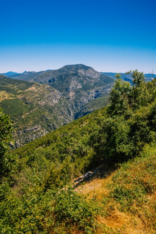 the mountain scene is very nice with green bushes