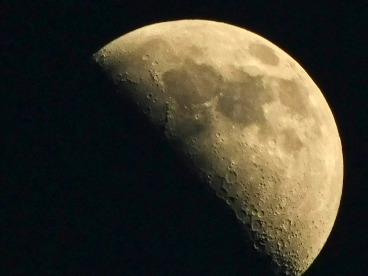 the moon is visible over some trees