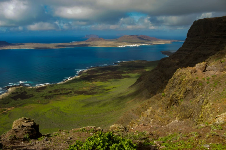 a sheep stands on the edge of a hill above an ocean