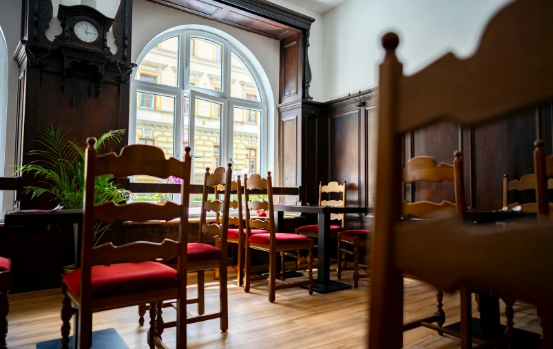 a number of chairs and tables with potted plants in front of them