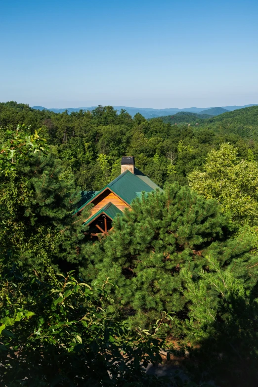 an aerial view of some green trees, sky and a cabin