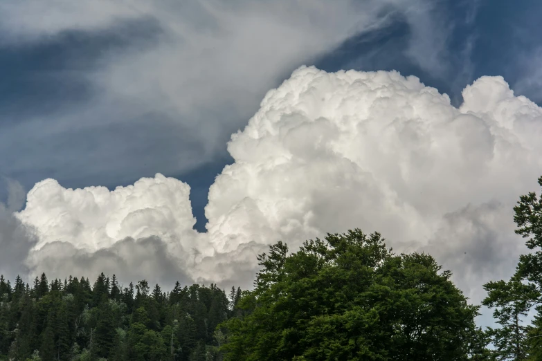 a large cloud hovers over the top of trees