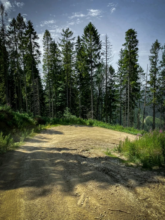 a dirt road with trees in the background