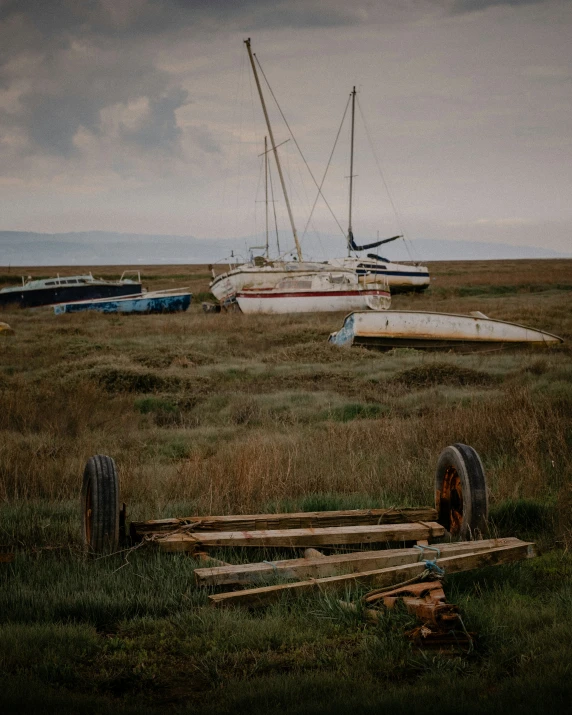 there is several boats docked in the grassy area