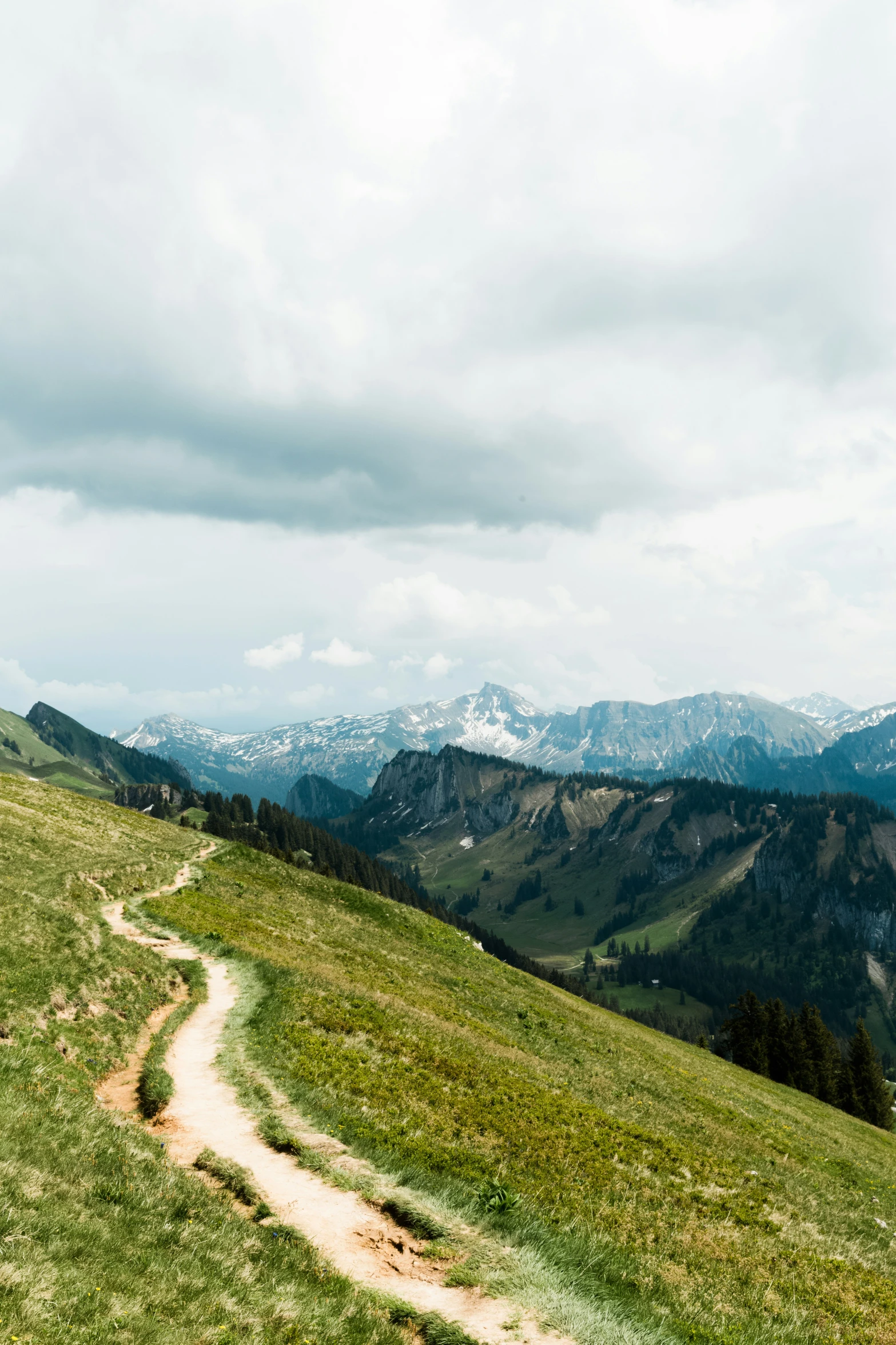 the trail passes through an open grassy field