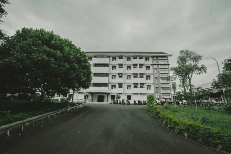 a tall building with a lot of windows near a park