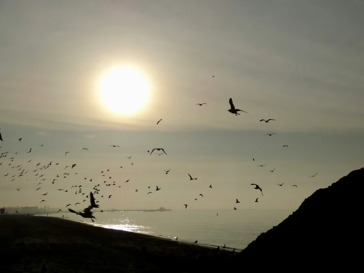 a flock of birds flying around a large sun