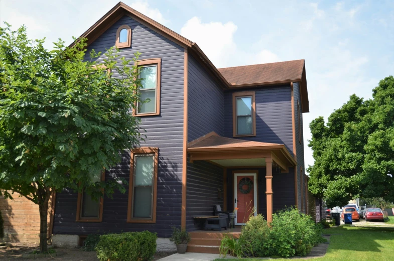 the purple house is painted all over it