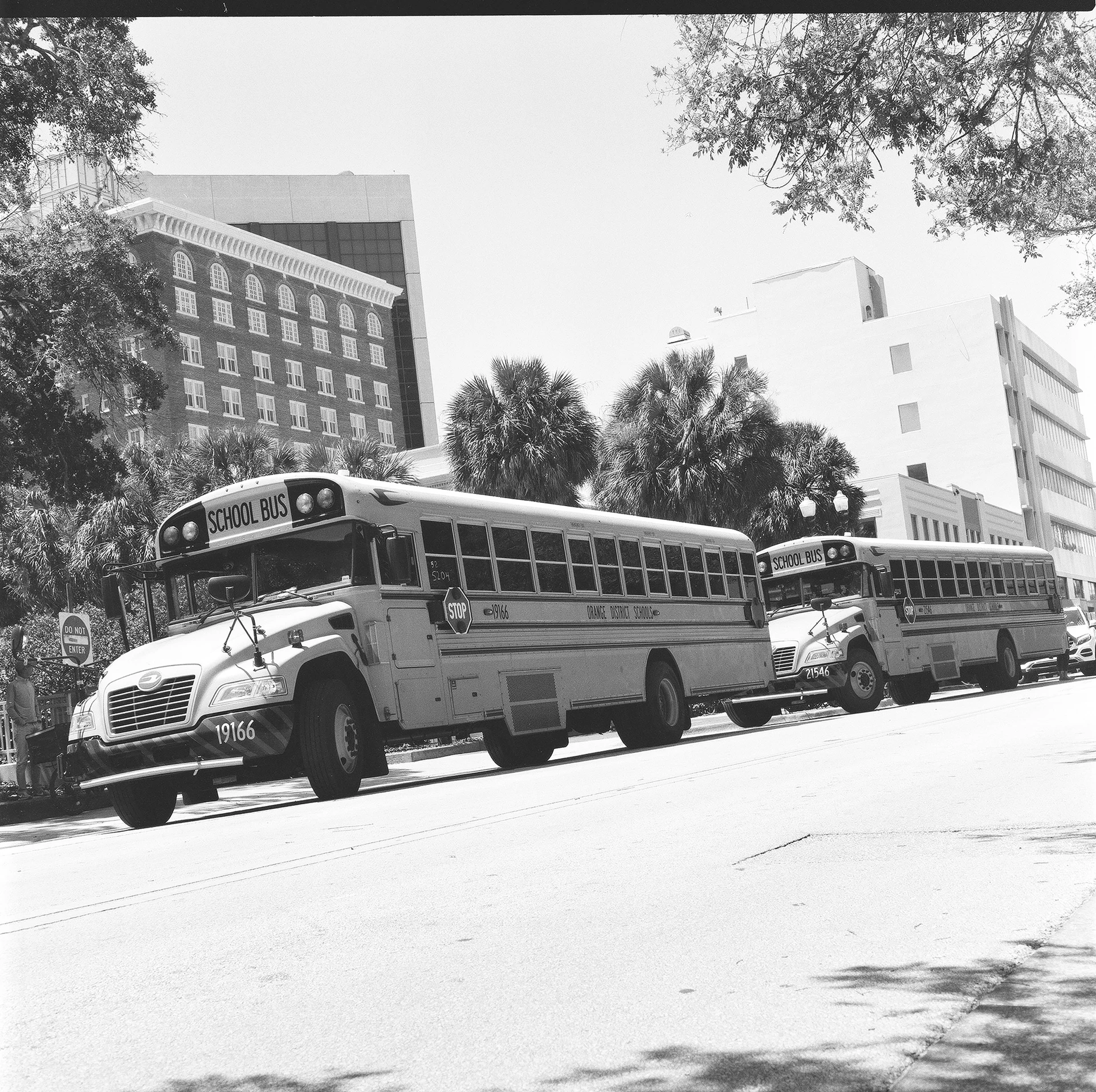 three buses are parked side by side on the street