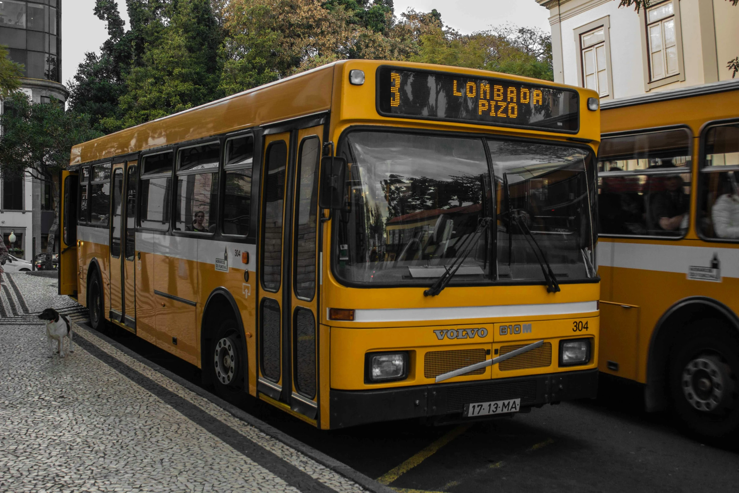 a large yellow bus driving down the road