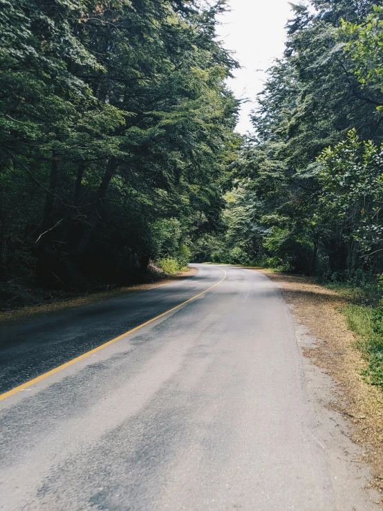 the road leads to several large trees and the sky is very cloudy