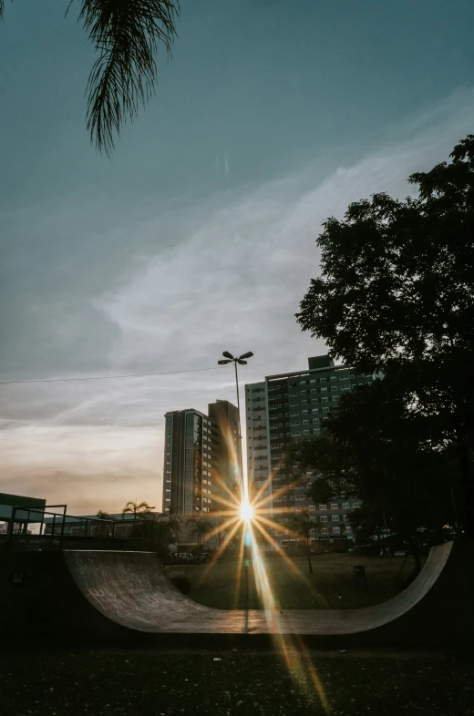 a skateboard park with palm trees and buildings in the background