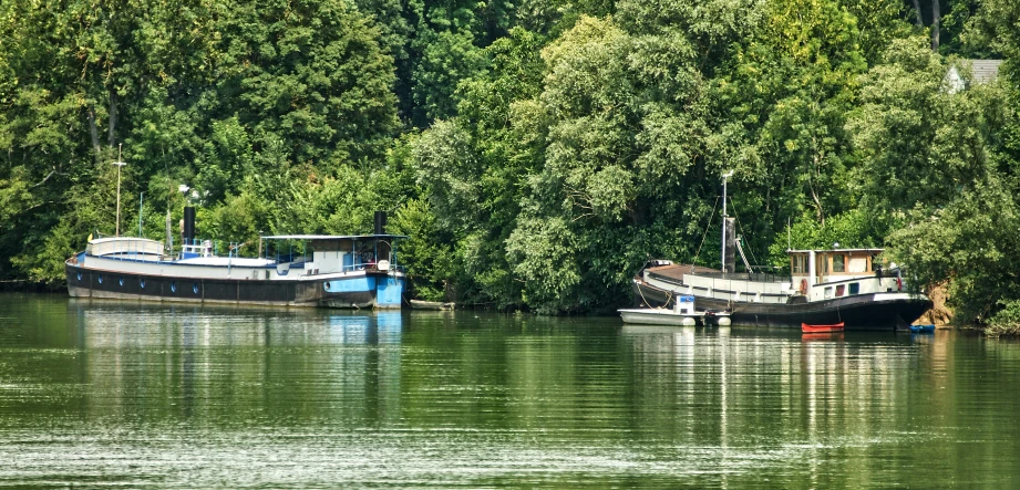 two boats in the water next to a forest