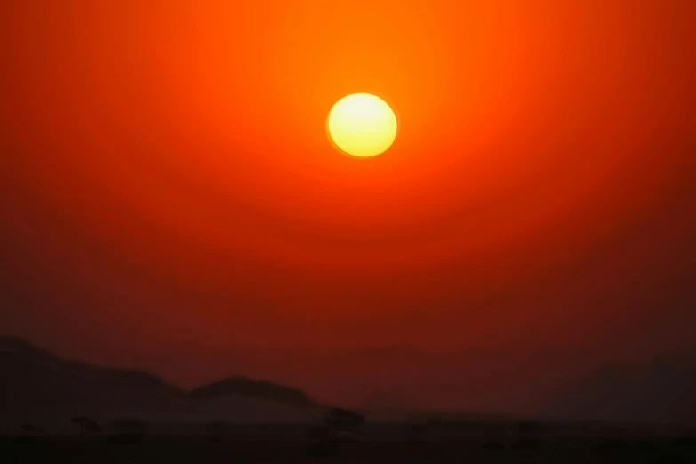 a bird flies in front of the sun, with a distant horizon