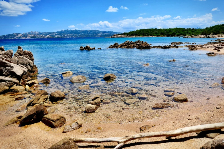 rocks, water and a tree in the middle of a beach