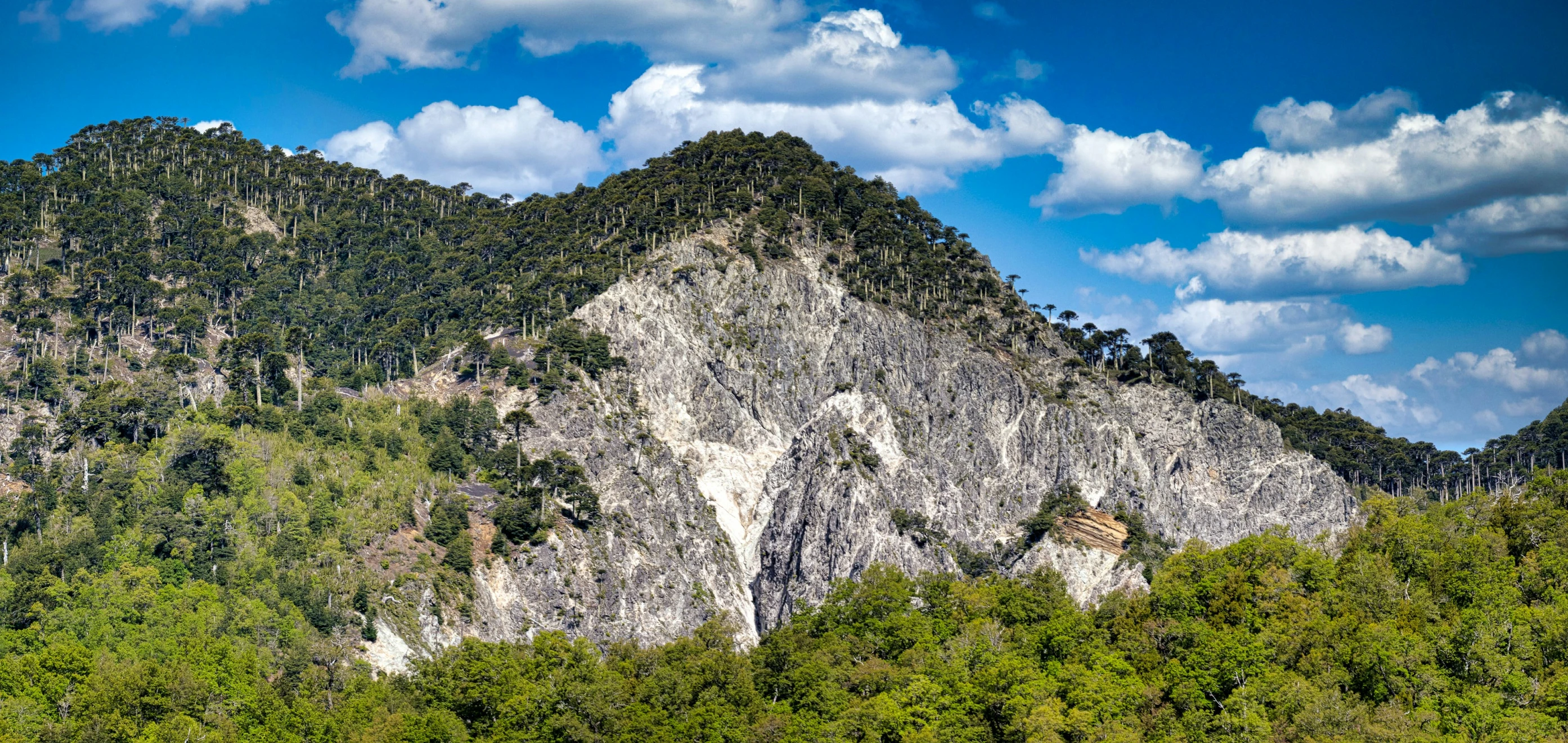 a very large mountain covered in greenery