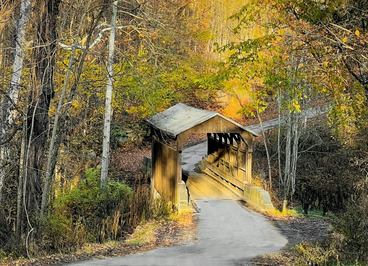 a covered bridge in the woods with trees in the background