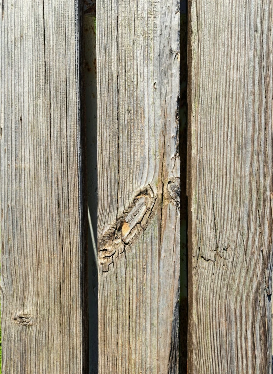 the fence has peeling paint on it